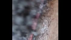 Reproducir Ebony tree milf fan de la grabación de xvideo me pide que le dé un desnatado, así que se lo doy. me acuesto con mis fans lol