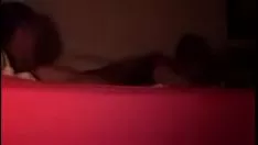Riproduci Diminutivo asiatico