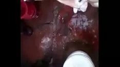 চালান ক্যানে গোপন বিছানা