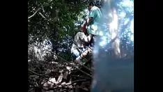 চালান স্তন্যপান ঝোপ 2