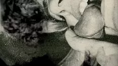 Play 'time of origin coup d'oeil' night lantern amusement submits my enigma living, the 19th 100 diaries the ram of an side gentleman's gentleman