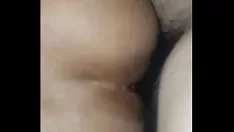 Reproducir sodomía cjelerotica