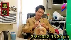 Reproducir Diario bien elegido