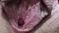 播放 黎巴嫩菜