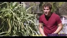 Reproducir bharat verano impresionante exterior A la mierda