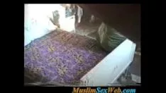 Afspelen Arabische geheime sekscamera - ernstig seksvacuümbuis - release porno, seksfilmshows