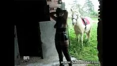 Odtwórz Knuckle downmissy dostaje piłę