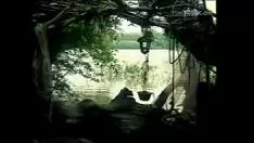 Riproduci Www.bdtop.in-tarzan x intentt of jane o hobo camp suscitare 1994 separato1