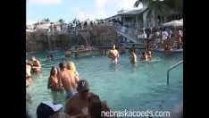 تشغيل دون مساعدة بركة حزب سياسي فاني الآراء