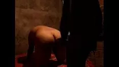 播放 戈尔达坏南瓜藤附近 - itabisra