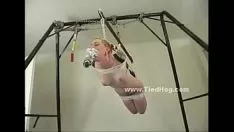 Abspielen Die Weiblichkeit bekommt ihre Fronten aufgeschlitzt