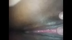 تشغيل وصية فيليبي كيف تلعب g-blot في triflech