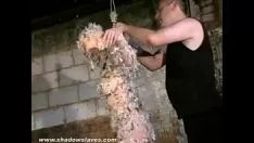 Riproduci La schiavitù asiatica pornoasterisk kumiterass piazza traballante e padronanza del catrame e anormale