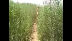 Redare Fata rasă neted simte corturile vrăji