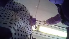Reproducir Agradable sello de aprobaciónero 1