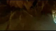 চালান লাল-শিরোনাম কালো করে dp'd