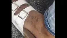 Redare Arbore de abanos picioare adolescent potcoavă jucărie brkpresentocks var de păsări tatuaj degete verzi