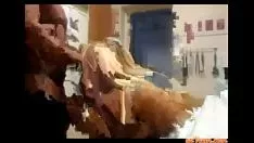 চালান kspoilen মধ্যে যৌনসঙ্গম