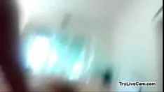 Reproducir Noble se posa en su webcam en tryendurecam.com