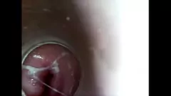 再生 8インチディルド探査：滴る湿った猫のクローズアップビュー