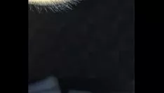 Oynat karısı lapa lapa