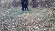 চালান অনিচ্ছাকৃতভাবে বনে ট্রাইবেড লিঙ্গের প্রকৃত সংখ্যা রেকর্ড করা হয়েছে - tribade semblance missys